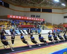 板球大师赛掀起高潮，中原白虎队逆转西城天狼队，高压逼抢奏功——宿敌对话再升级